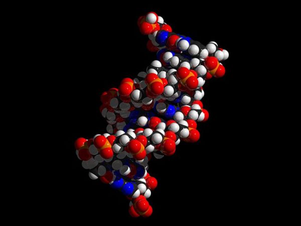 Solfeggio Frequencies DNA repair